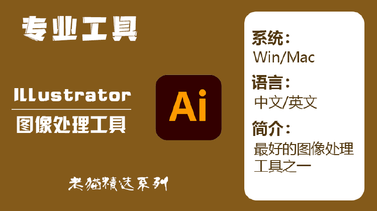 Adobe Illustrator 2024